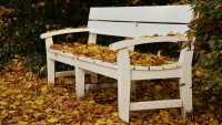 lavička park-bench-1794181 1280